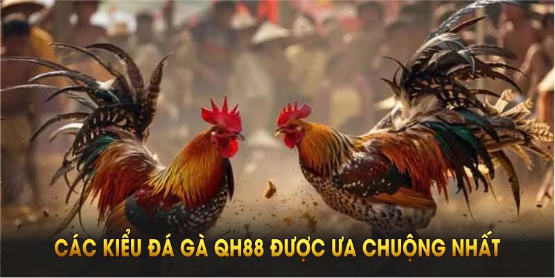 Các kiểu đá gà QH88 được ưa chuộng nhất bạn nên biết